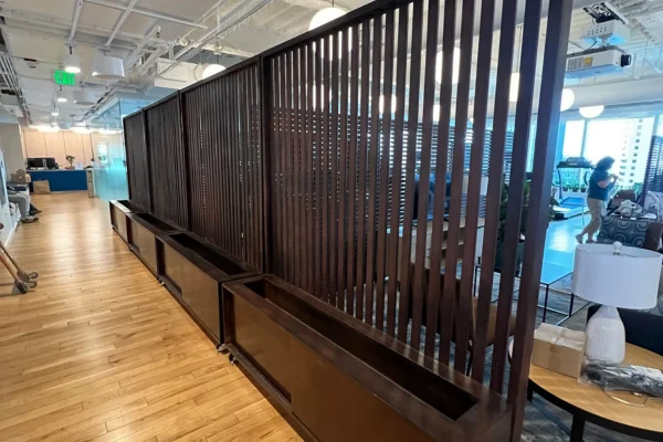 Built-In Shelving and Partitions