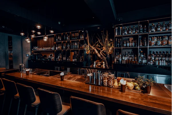 Bar Cabinets for Entertaining - Fabwright Origins